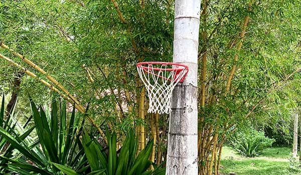 Casual Basketball 1