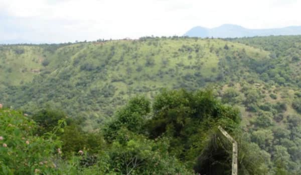 Guided Trek 1