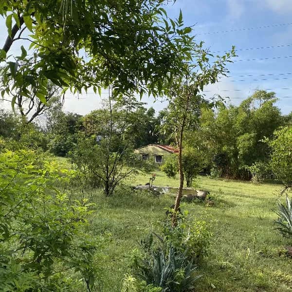 Our Homestay Surroundings 12
