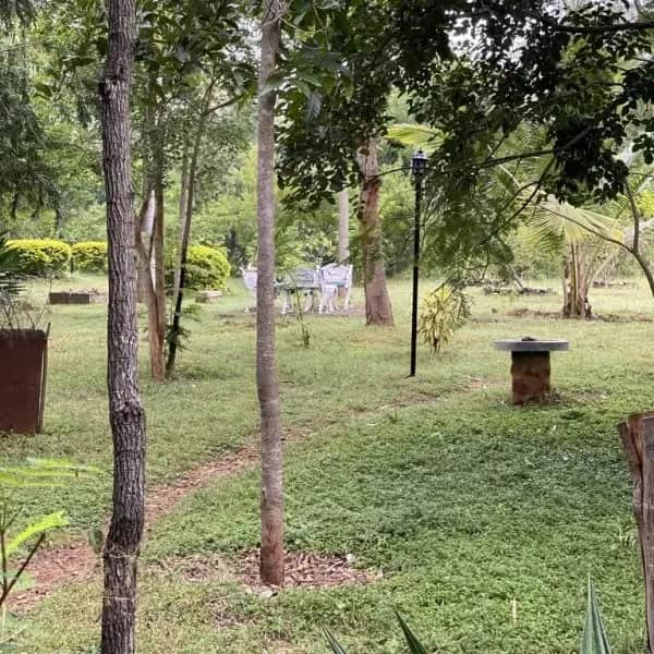 Our Homestay Surroundings 3
