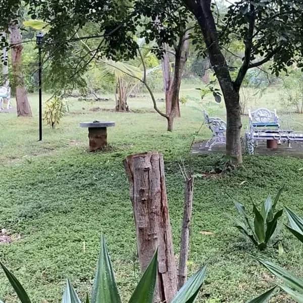 Our Homestay Surroundings 4