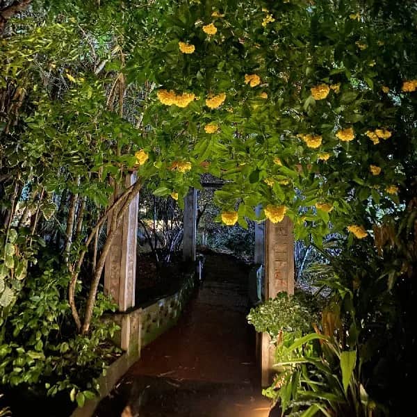 Our Homestay Surroundings 8