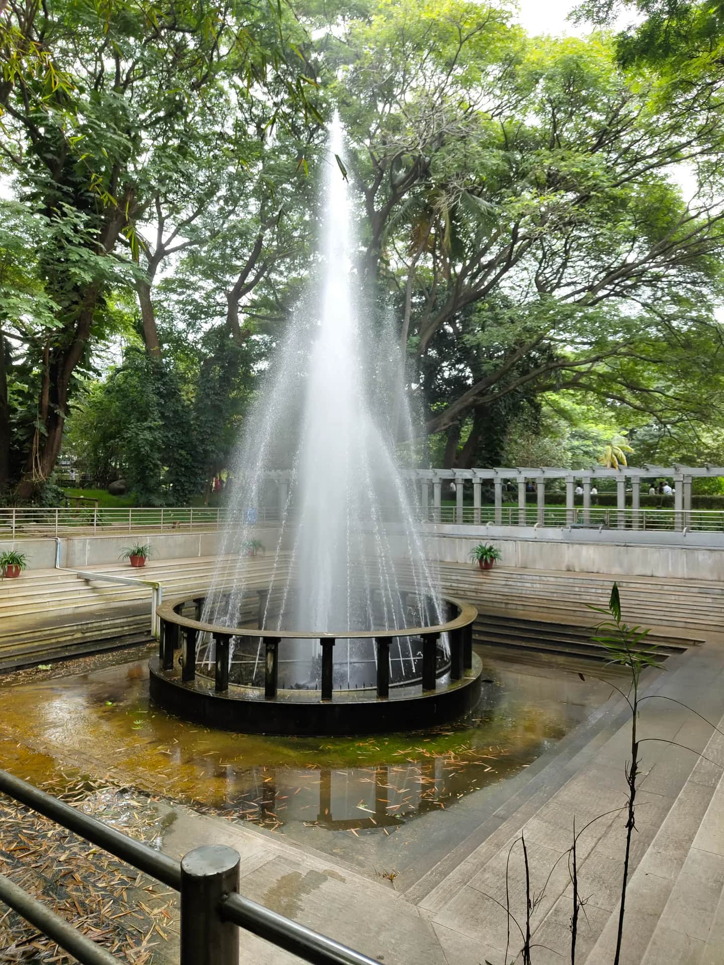 Mysore Zoo 10