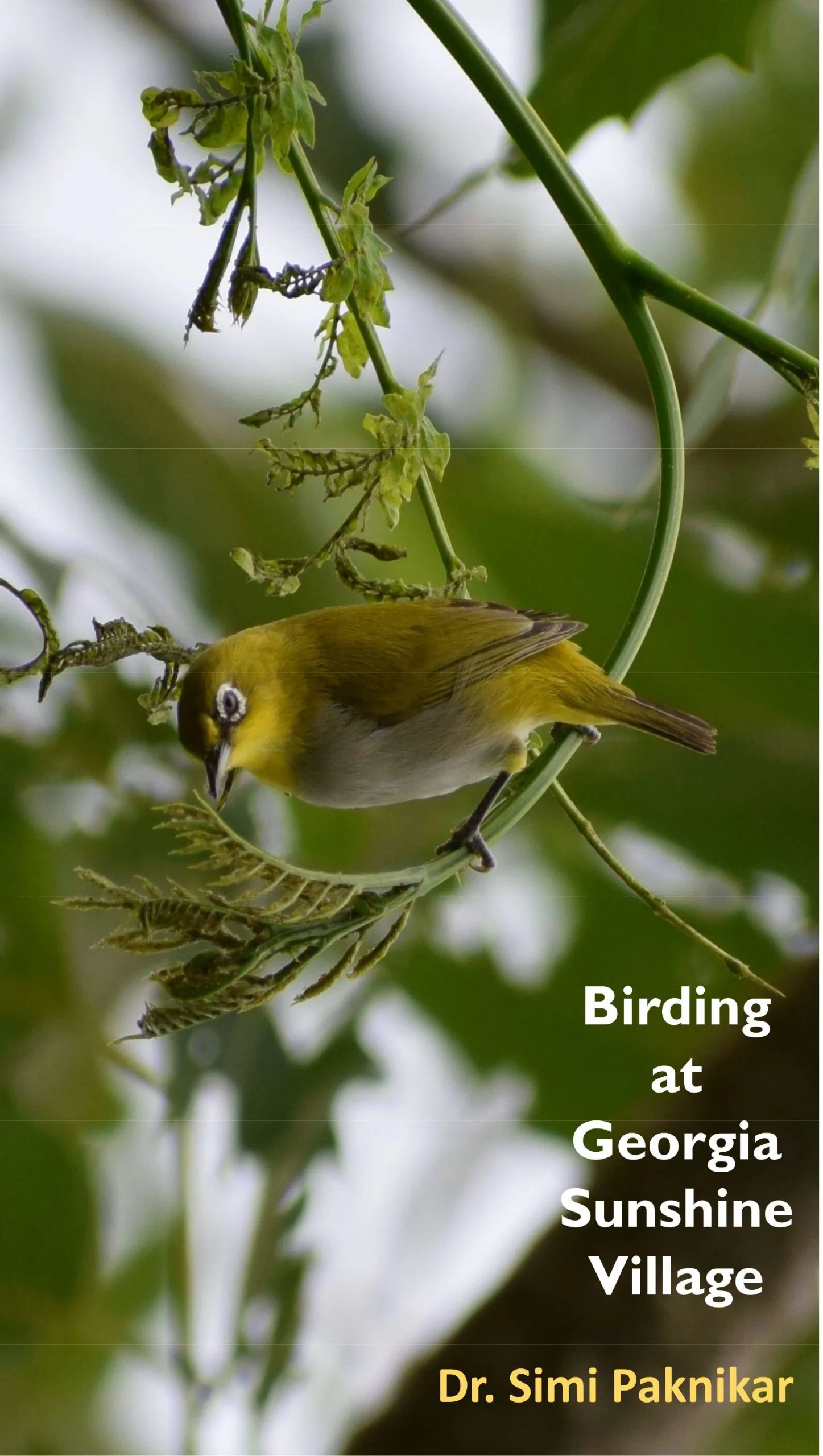 Birding at Georgia Sunshine Village e-book